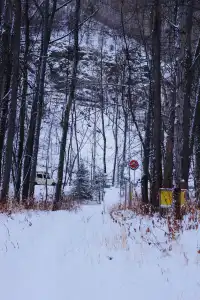 私人小眾滑雪，大興安嶺滑雪才是隱藏頂配！