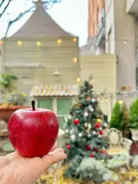 徐州聖誕氛圍感天花板！90%人不知道