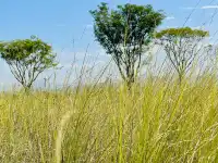 深圳又多一個週末遛娃、海邊徒步的好去處