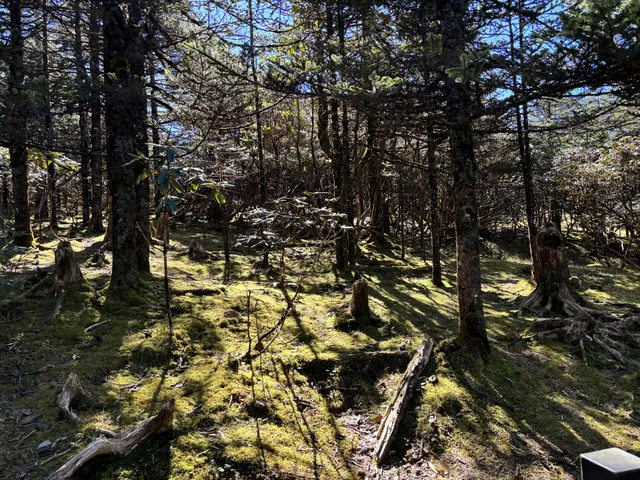 不下雪的轎子雪山 不下雪的轎子雪山