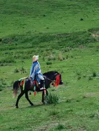 七月的抓喜秀龍草原