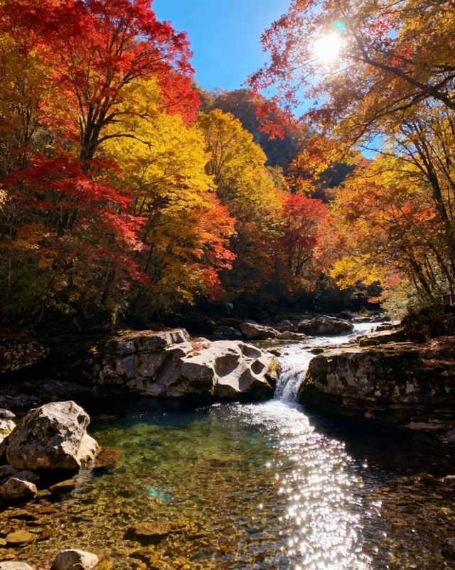 漢中保姆級攻略帶你遊玩絕美景點