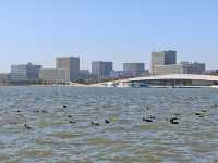 滴水湖真的太適合遛娃了！！！！