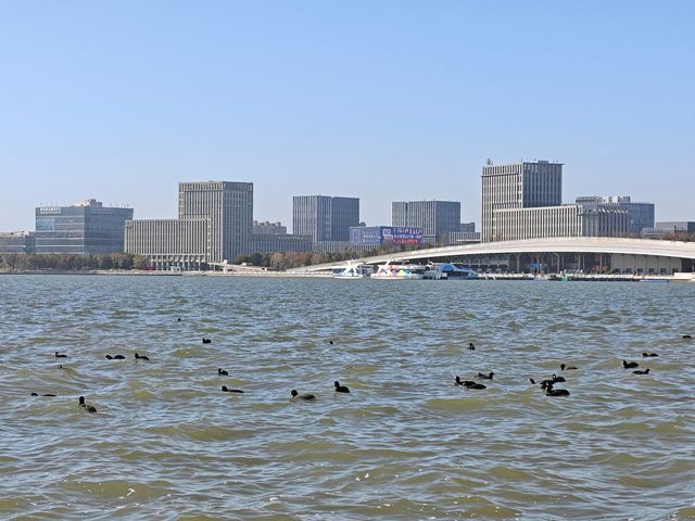 滴水湖真的太適合遛娃了！！！！