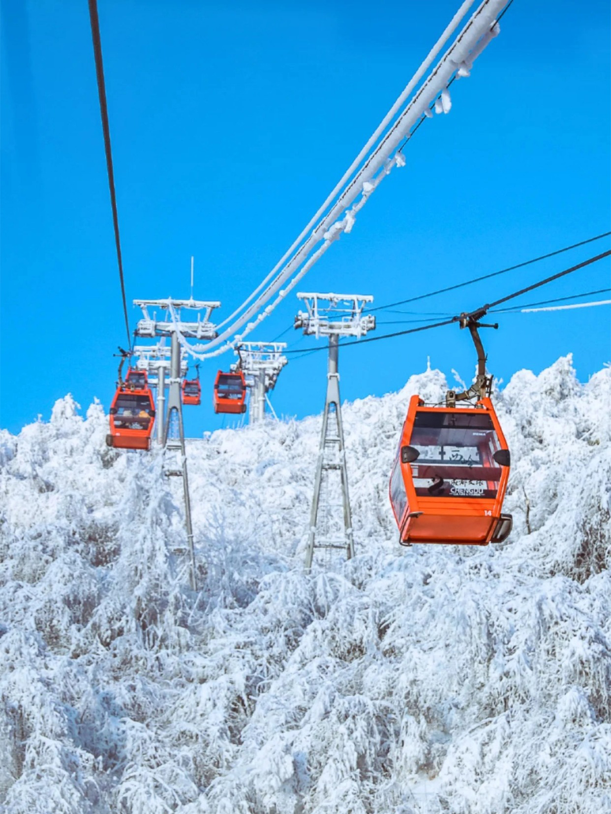 Successfully chased snow with kids at Xiling Snow Mountain, even very young babies can join!