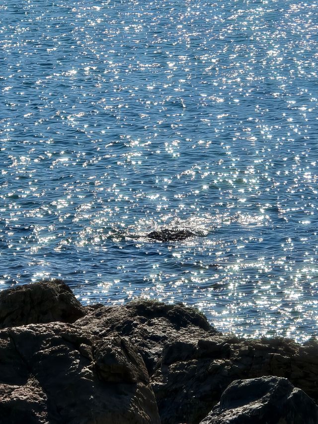 深圳好看的海都是免費的不輸國外