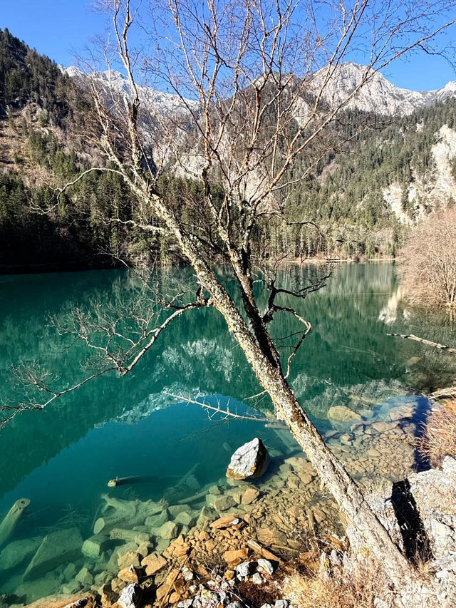 九寨歸來不看水，這句話我算是信了！