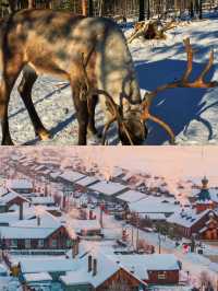 誰懂啊!12月的漠河才是冬日童話天花板