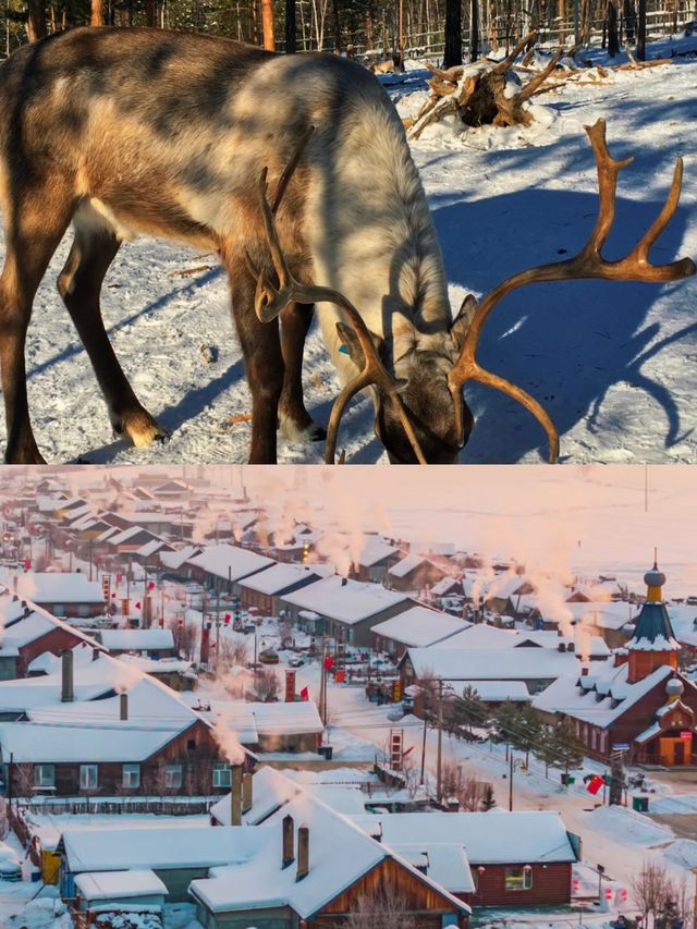 誰懂啊!12月的漠河才是冬日童話天花板 誰懂啊!12月的漠河才是冬日童話天花板