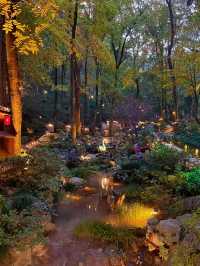 我願稱它為江浙滬打工人觸手可及的「週末療癒所」。