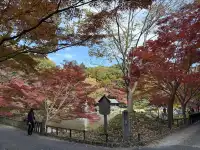 名古屋的秋東山 犬山 真的很好拍~
