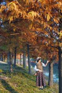 魔都的冬天有多美！紅得像火