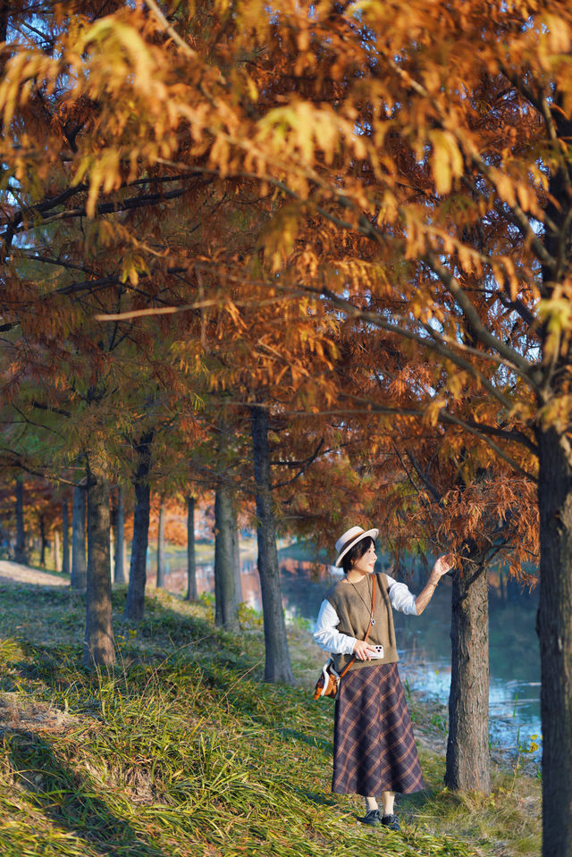魔都的冬天有多美！紅得像火