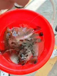 威海團建瘋玩實錄!沙灘作畫+藍海治癒力拉滿