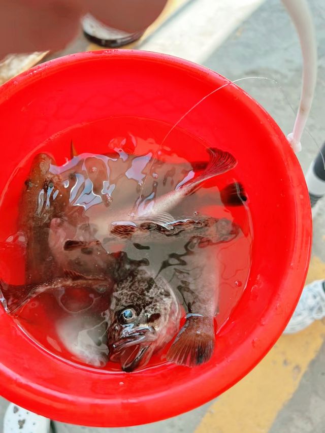 威海團建瘋玩實錄!沙灘作畫+藍海治癒力拉滿 威海團建瘋玩實錄!沙灘作畫+藍海治癒力拉滿