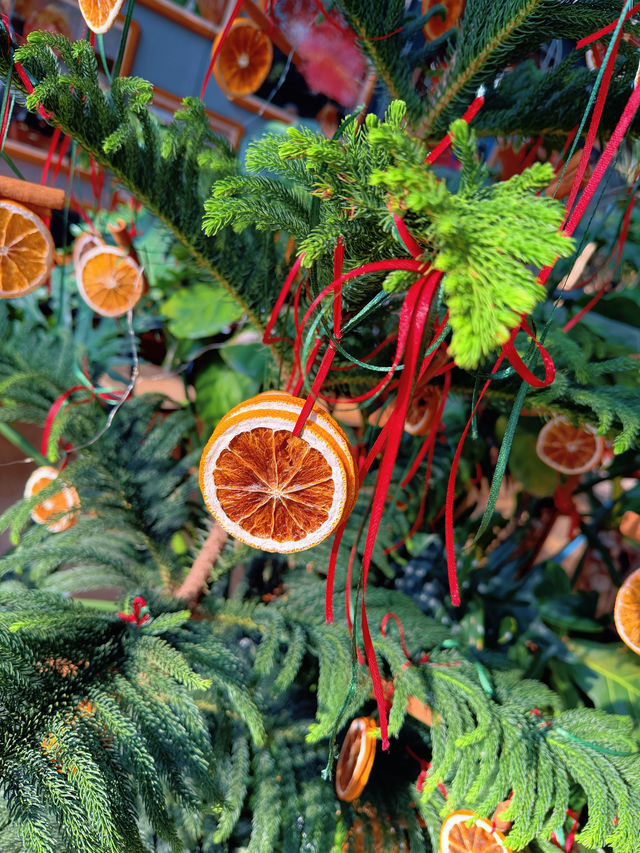 上海12月:冬名義,秋肌理,節日序章已啟 上海12月:冬名義,秋肌理,節日序章已啟