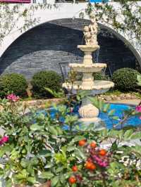 吐血整理遇山鄉舍——初冬浪漫約會地