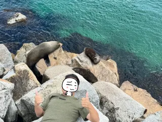 Posted on December 14th by narooma: Two days and one night watching seals and opening sea urchins (3 = 2)