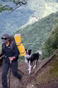 你問我什麼是自由?是七月底的武功山