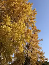 德陽｜石刻公園