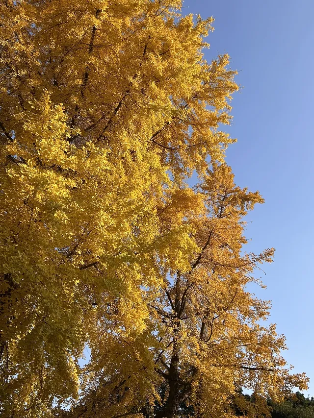德陽｜石刻公園