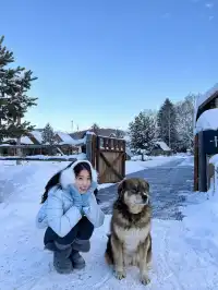 禾木小木屋反覆愛上阿勒泰的冬天