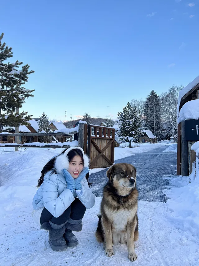 禾木小木屋反覆愛上阿勒泰的冬天 禾木小木屋反覆愛上阿勒泰的冬天