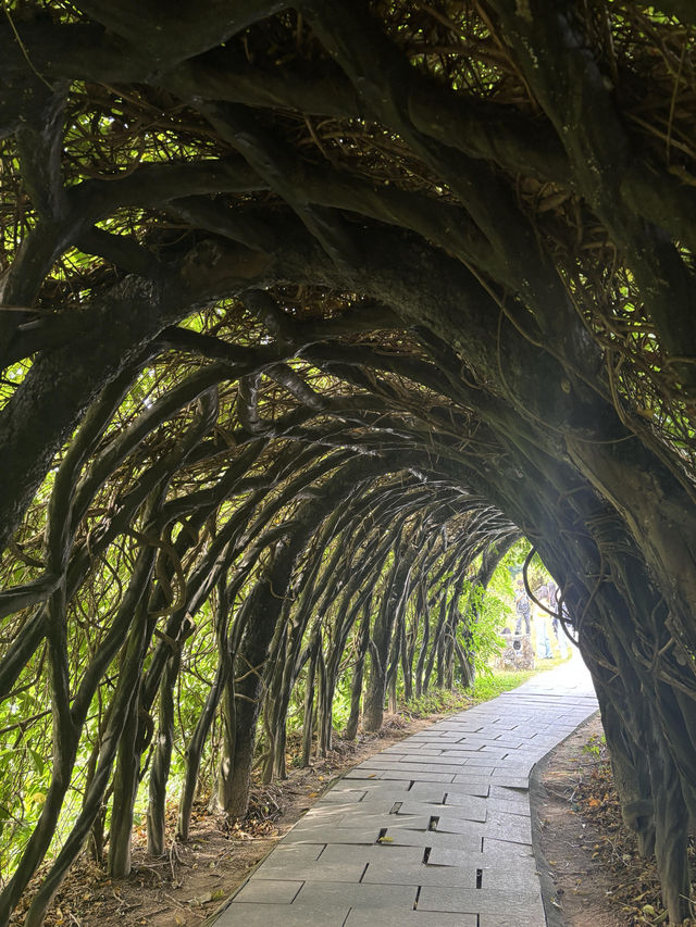 華南植物園拍照吸氧全攻略｜逃離城市計劃來啦