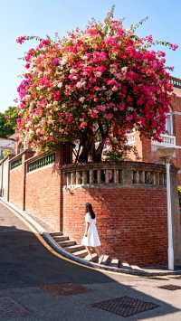 冬日避寒首選!文藝廈門4天3夜治癒之旅全攻略