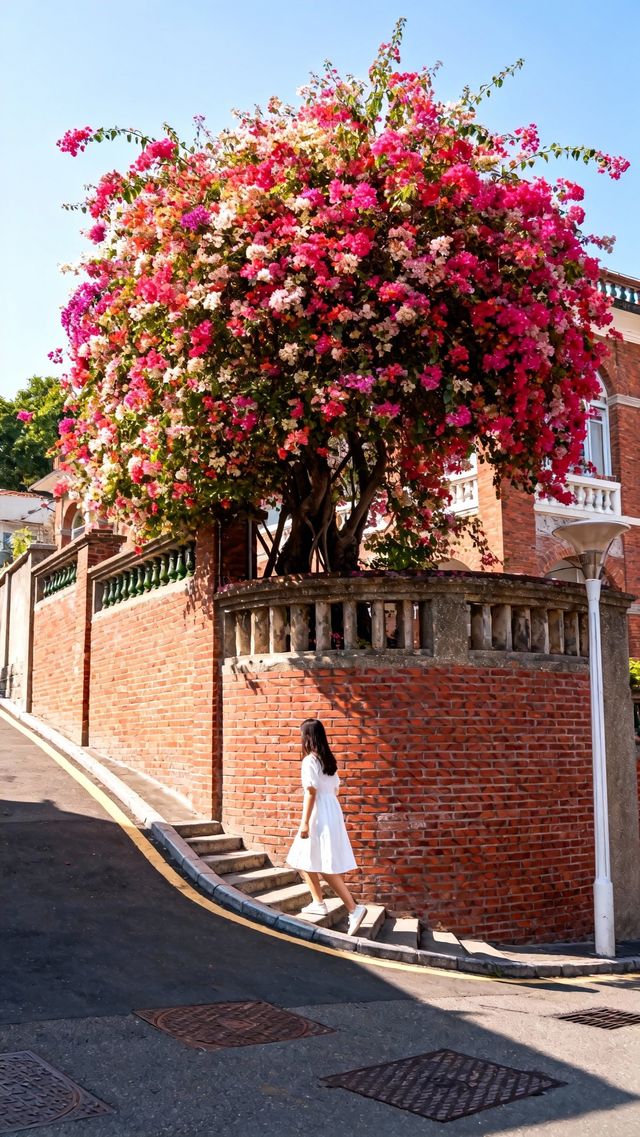 冬日避寒首選!文藝廈門4天3夜治癒之旅全攻略 冬日避寒首選!文藝廈門4天3夜治癒之旅全攻略