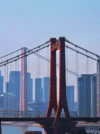 鸚鵡洲長江大橋