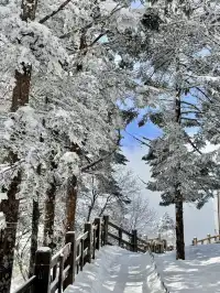 西嶺雪山下雪實況！1日遊成都往返才花68