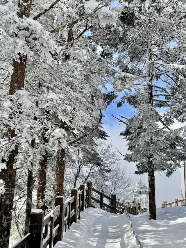 西嶺雪山下雪實況！1日遊成都往返才花68