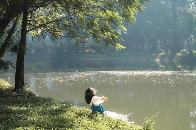 河內小眾秘境|藏在市中心的「綠野仙蹤」森林 河內小眾秘境|藏在市中心的「綠野仙蹤」森林