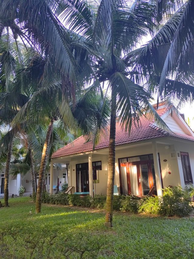 越南美奈｜椰林白浪間的絕美度假天堂  必去理由 一半沙漠一半海！東南亞小眾秘境美到窒息！ 