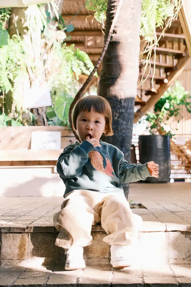 12月一定要帶孩子來西雙版納 12月一定要帶孩子來西雙版納