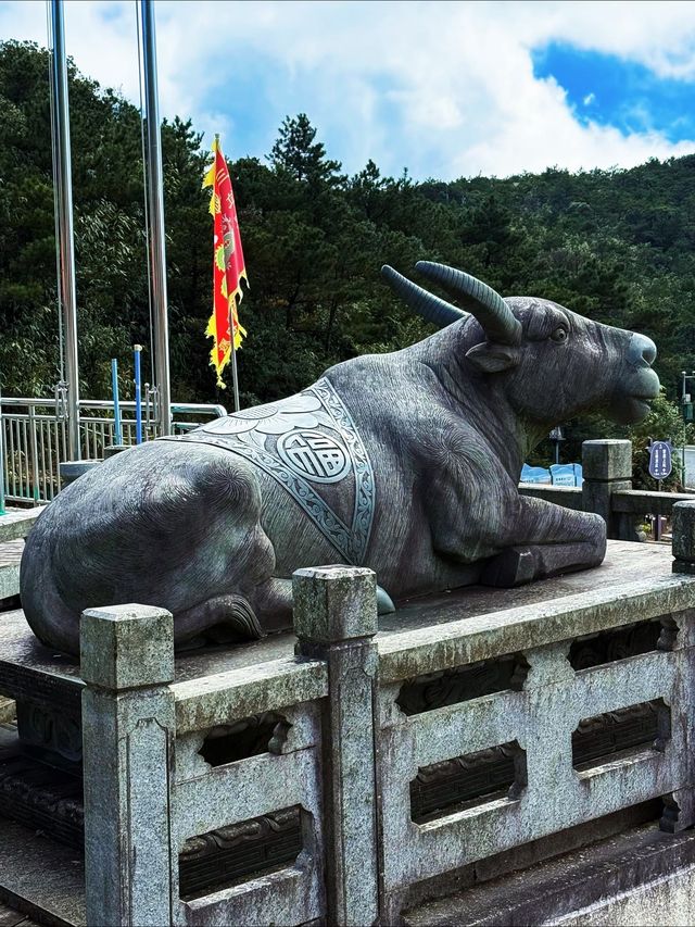 福建！泉州古村探秘絕美路線