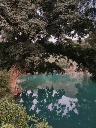 Don't just think of Sanya in December, come to this hidden gem of a small town