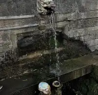 在太原晉祠，觸摸到了三千年的西周柏樹