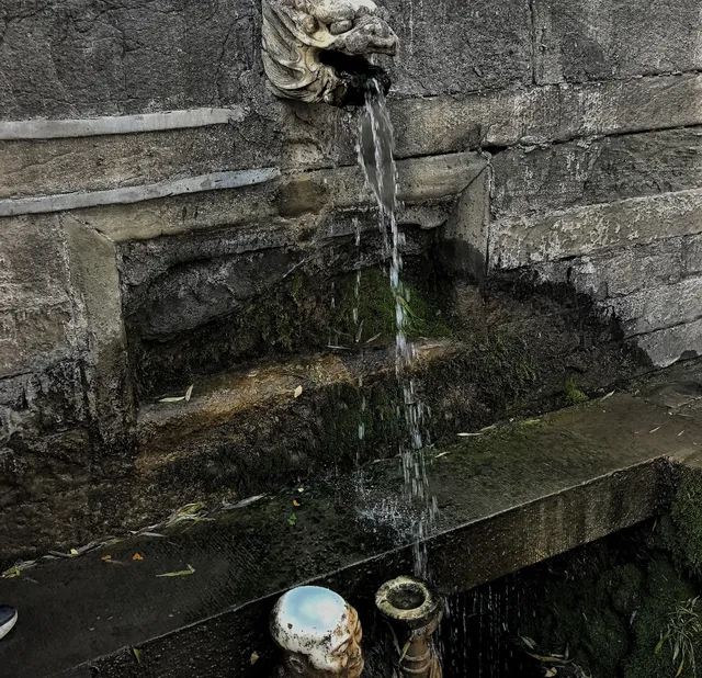 在太原晉祠，觸摸到了三千年的西周柏樹