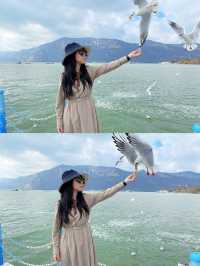 滇池&麗江|12月邂逅紅嘴鷗天堂&雪山古鎮