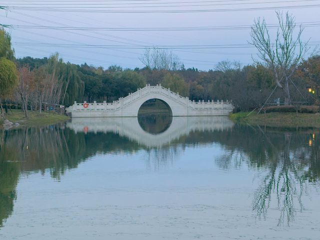 沔青園記 | 一脈水鄉印古今