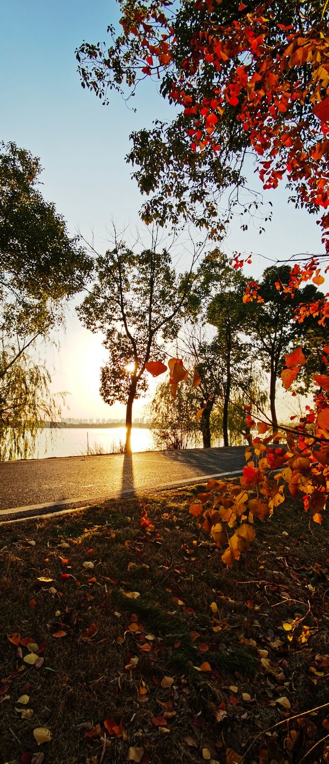 夕陽映照下的歐式建築構成的絕美風景