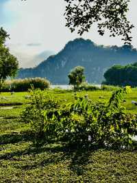 打卡肇慶丹頂鶴生態園