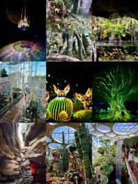 上海世博文化公園溫室花園|現實版「瘋狂動物城」~