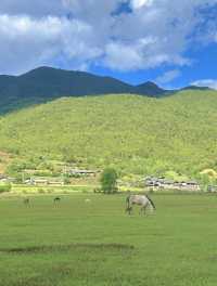 美得不像話雲南麗江也有自己的阿勒泰