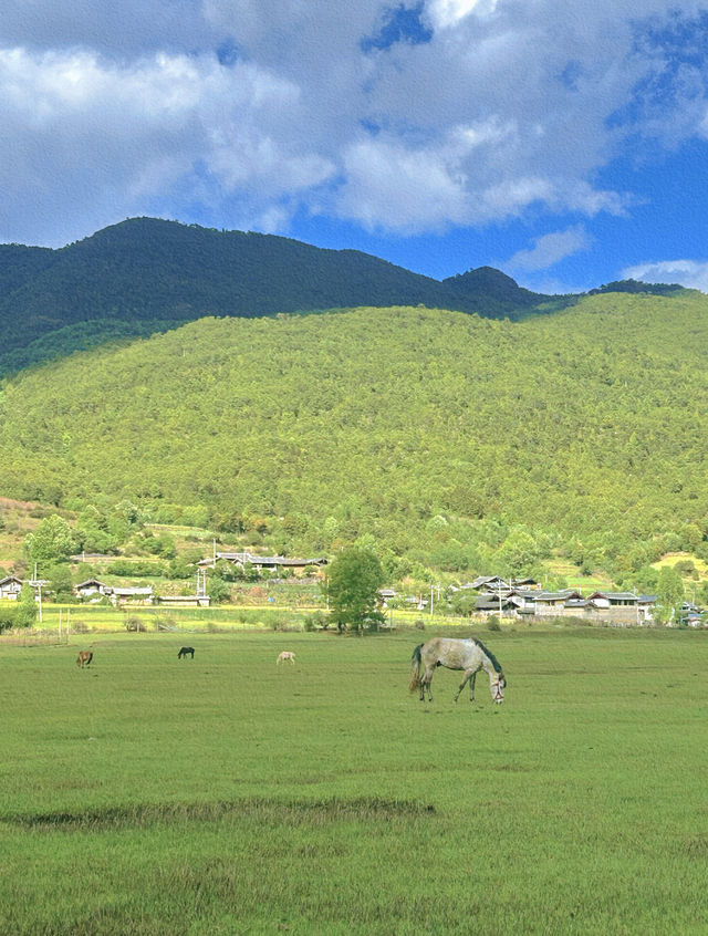 美得不像話雲南麗江也有自己的阿勒泰 美得不像話雲南麗江也有自己的阿勒泰