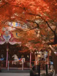 12.6共青森林公園橙黃橘綠時(附路線)