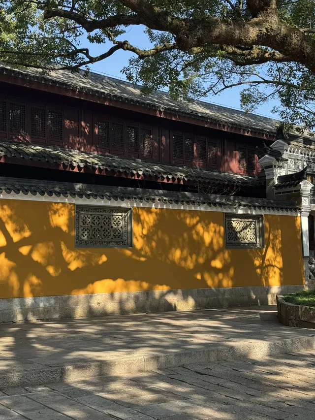 願所求皆所得，在普陀山止不住落淚