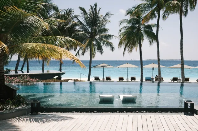 不是在旅遊就是在旅遊的路上